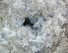 Spectacular, Celestine (Celestite) Crystal Geode - Top Quality #52521-3